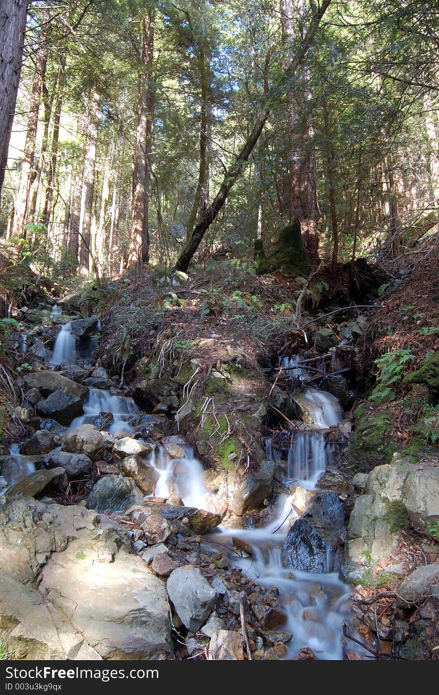 A waterfall in the woods. A waterfall in the woods