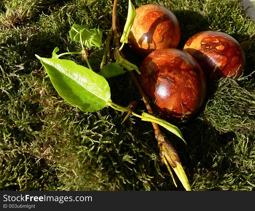 Colourful easter eggs in moss. Colourful easter eggs in moss.