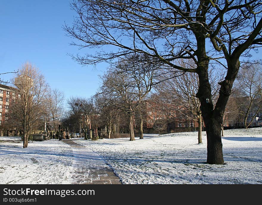 Snow in the park