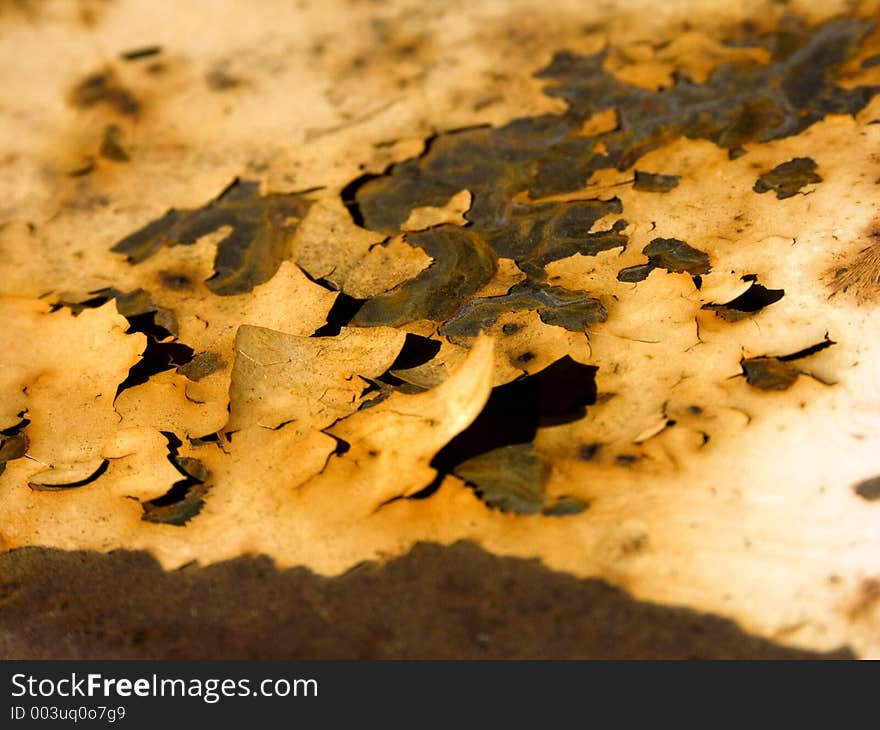 Rusted Paint Chips Peeling