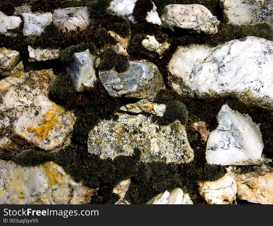 Old Moss Covered Stone Wall Closeup. Old Moss Covered Stone Wall Closeup