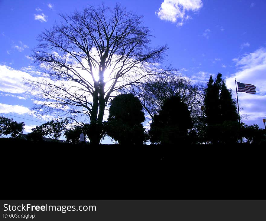 Silhouette tree against a deep blue sky, with flag. Silhouette tree against a deep blue sky, with flag