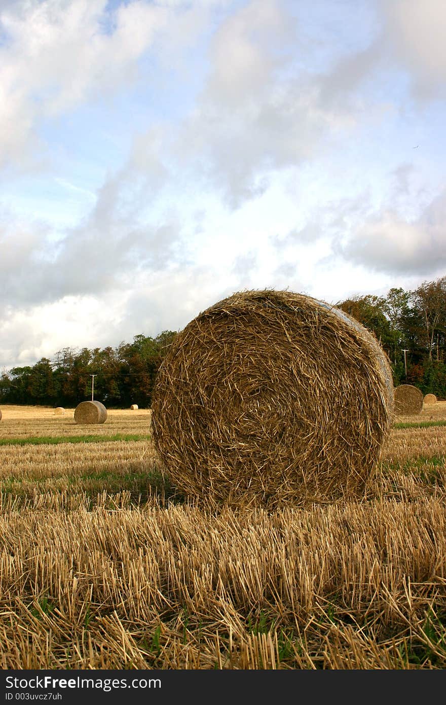 Hay bale in field, East Sussex, UK