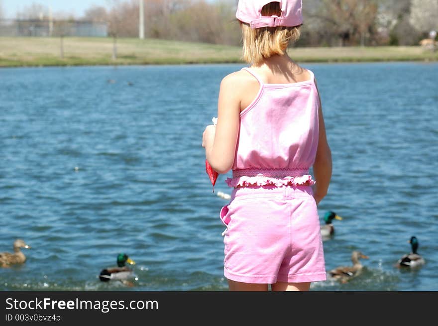 Soft affect given to this image of a little girl standing on the shore line of a duck pond feeding them. Beautiful sunny day, winds blowing. Soft affect given to this image of a little girl standing on the shore line of a duck pond feeding them. Beautiful sunny day, winds blowing.