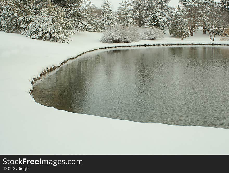 Pond At Bottle Creek, Winter