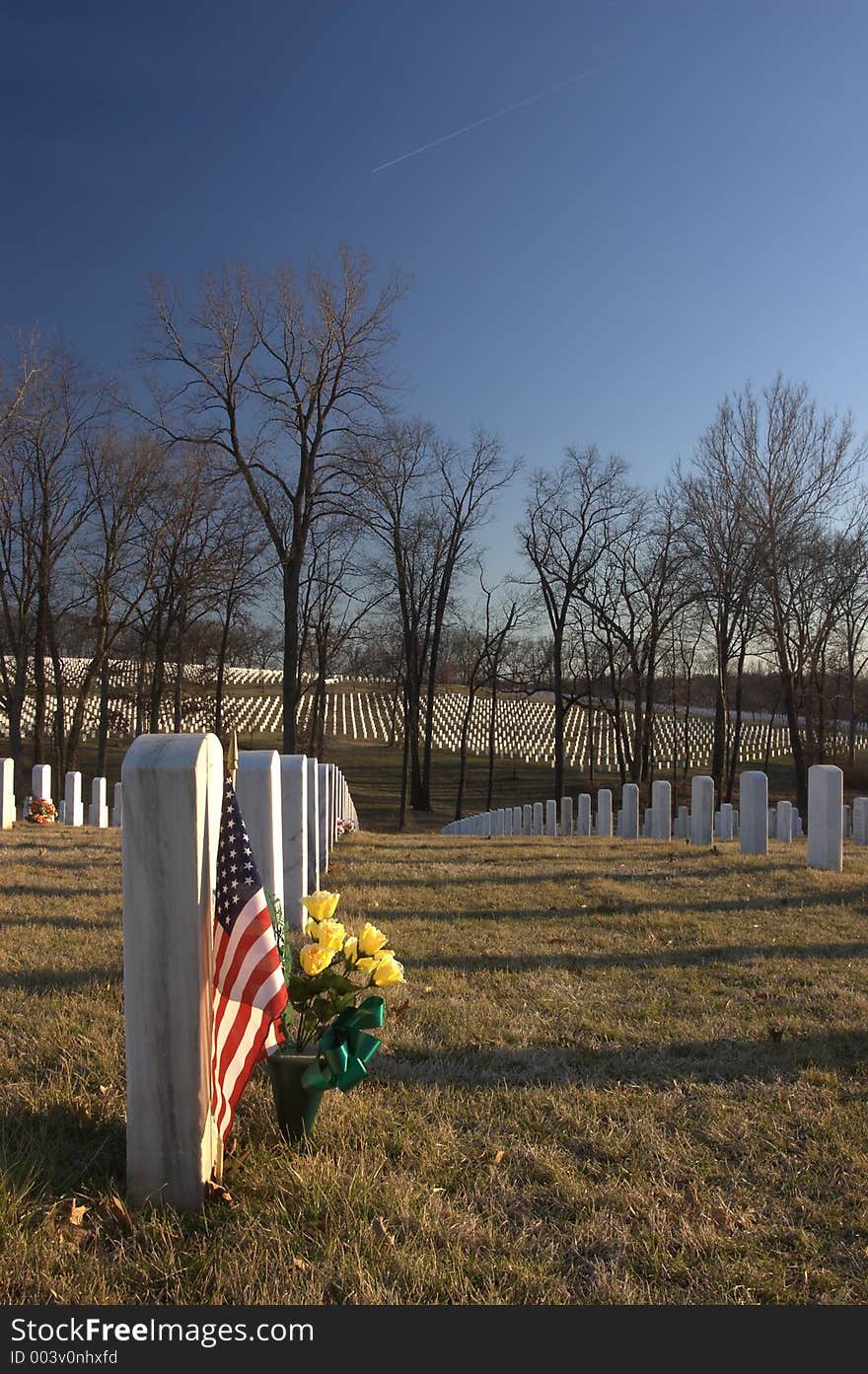 Flag at gravesite