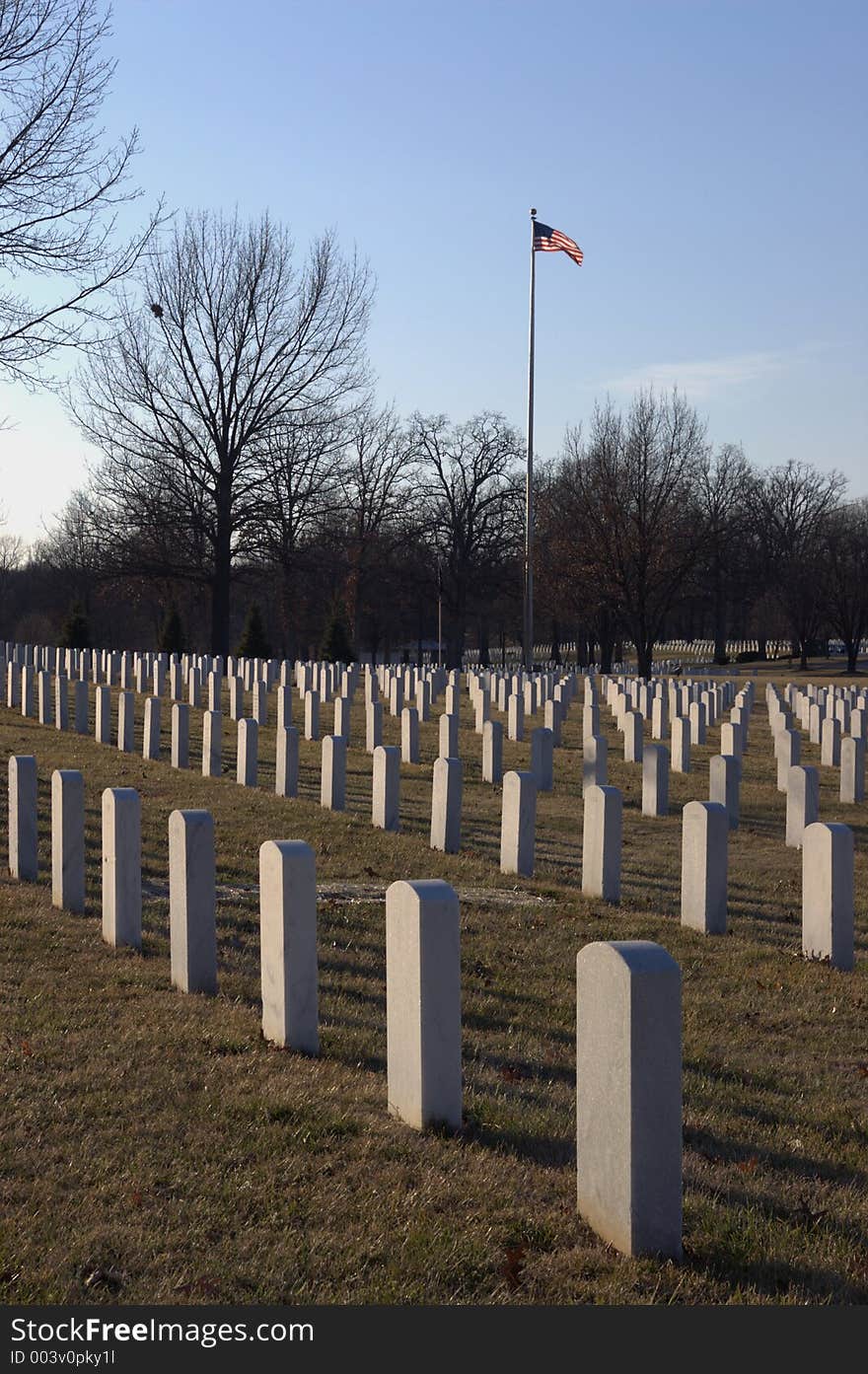 Flag flying over cemetery