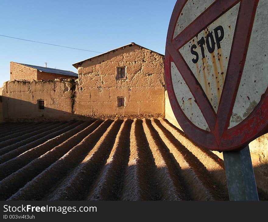 Furrows at santibanez de la isla (leon)