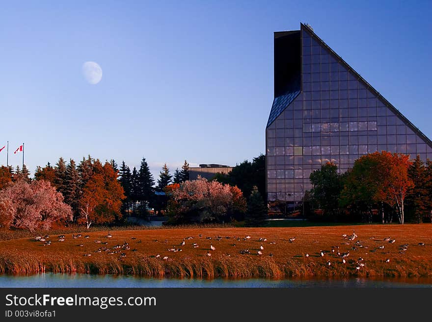 The royal canadian mint. foliage colors have been modified