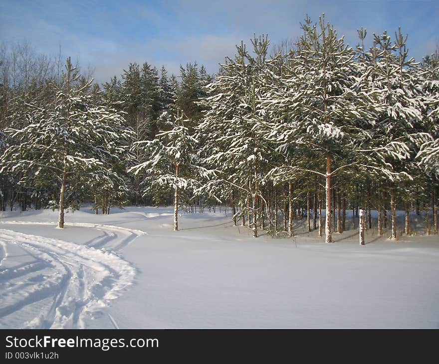 Russian winter