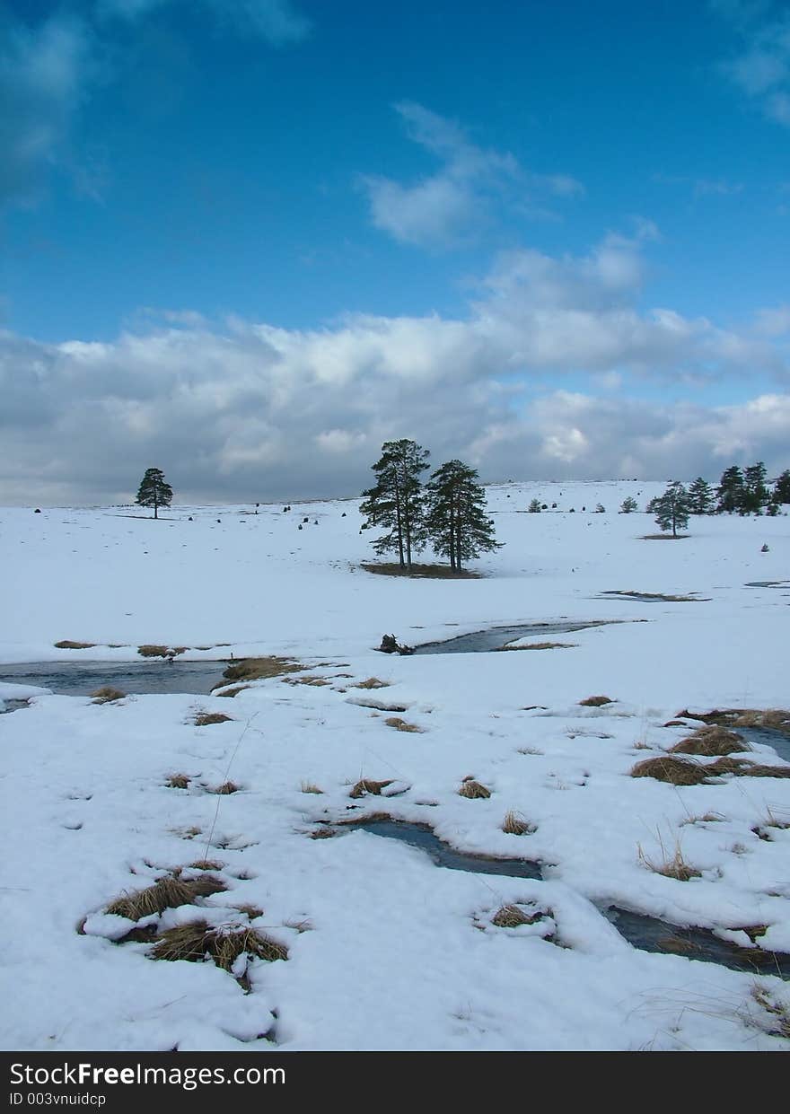 Winter postcard