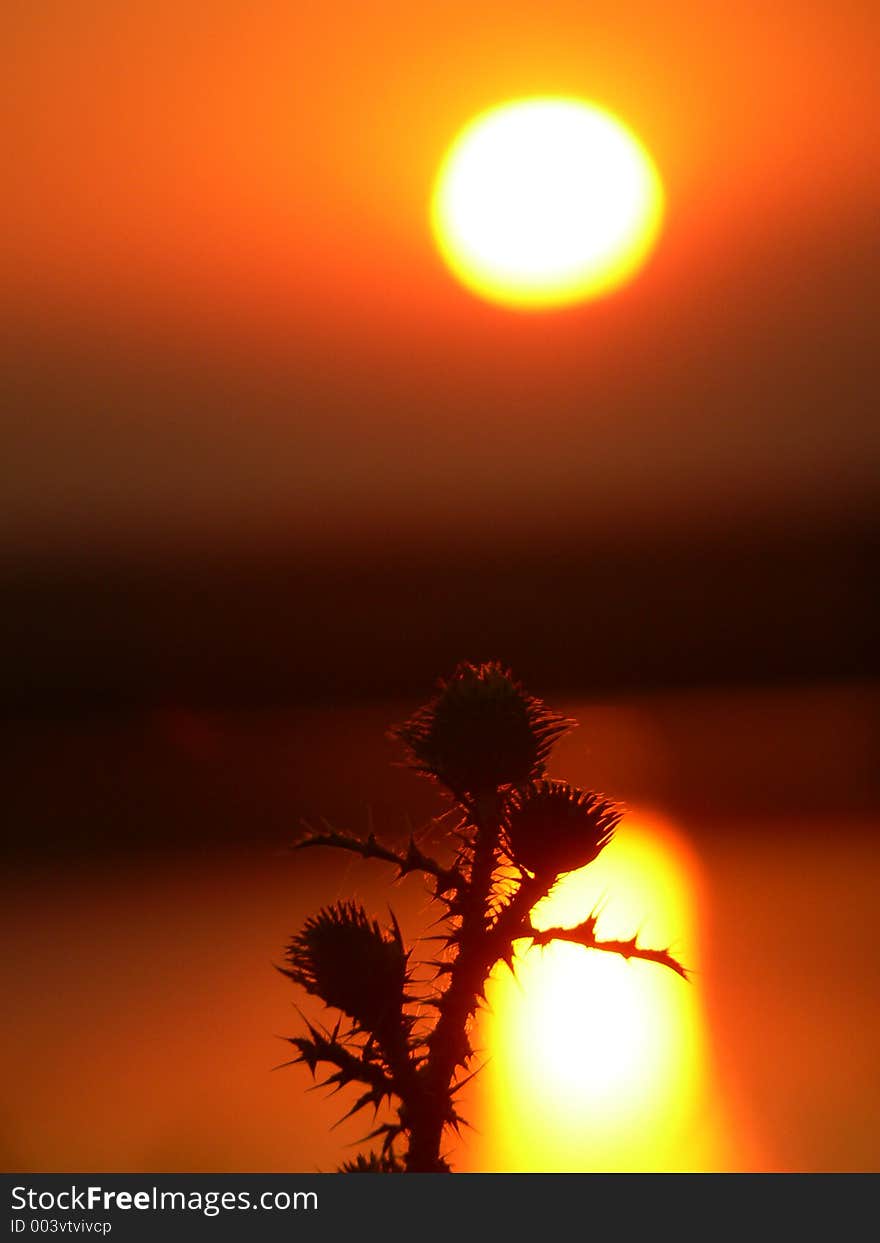 Sunset and spikes