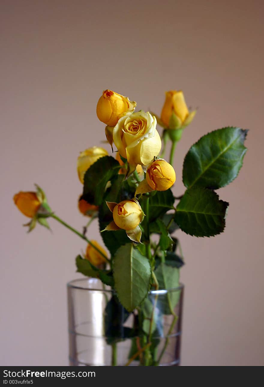 Small roses in a glass glass. Small roses in a glass glass