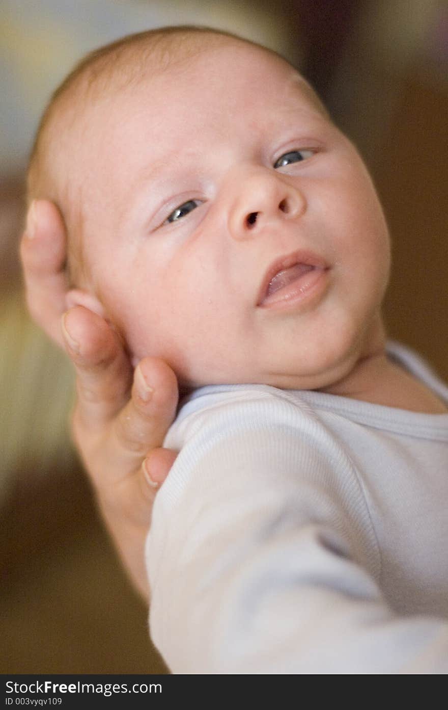 3 weeks newborn portrait