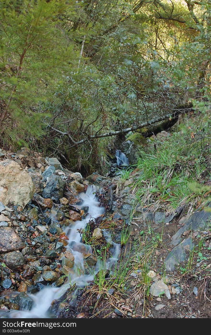 Waterfall in the woods