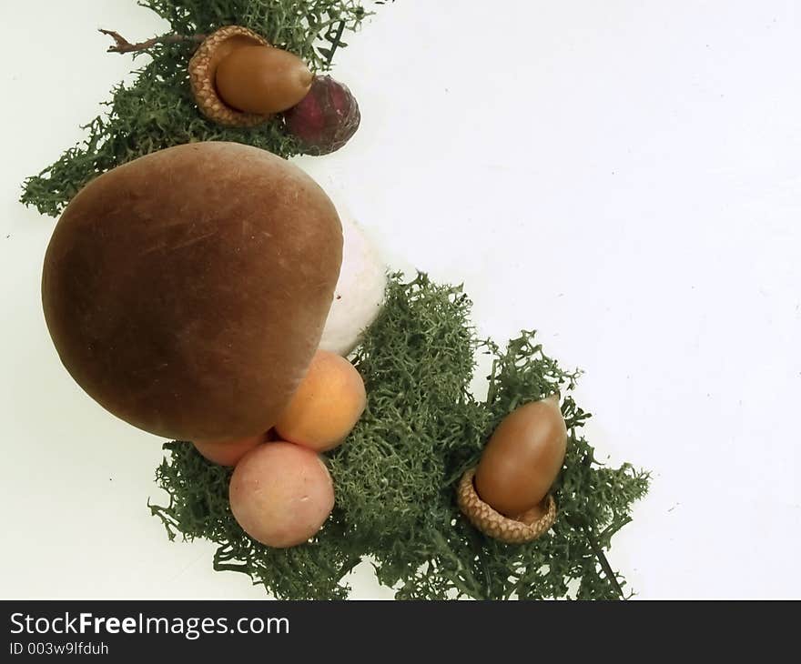 Moss, acorns and mushrooms border, white background. Moss, acorns and mushrooms border, white background