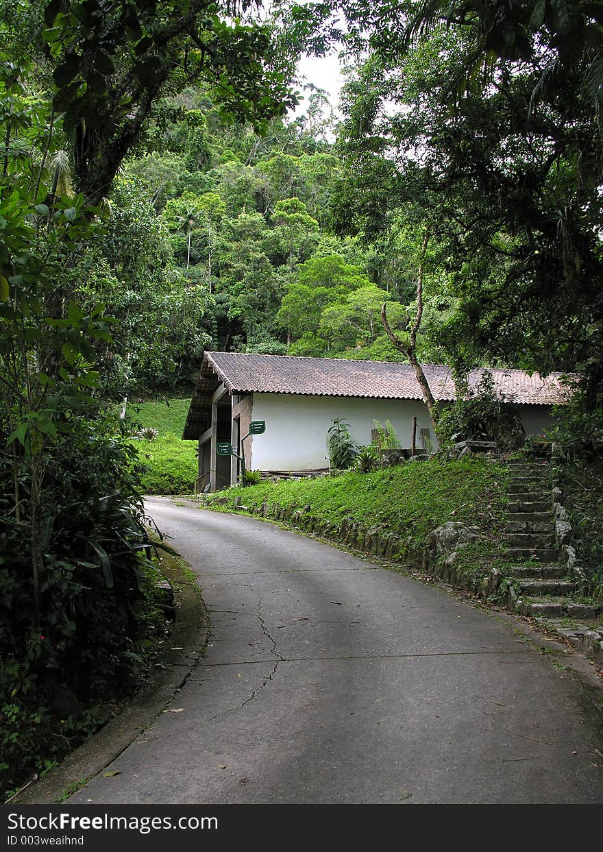 Path to white house