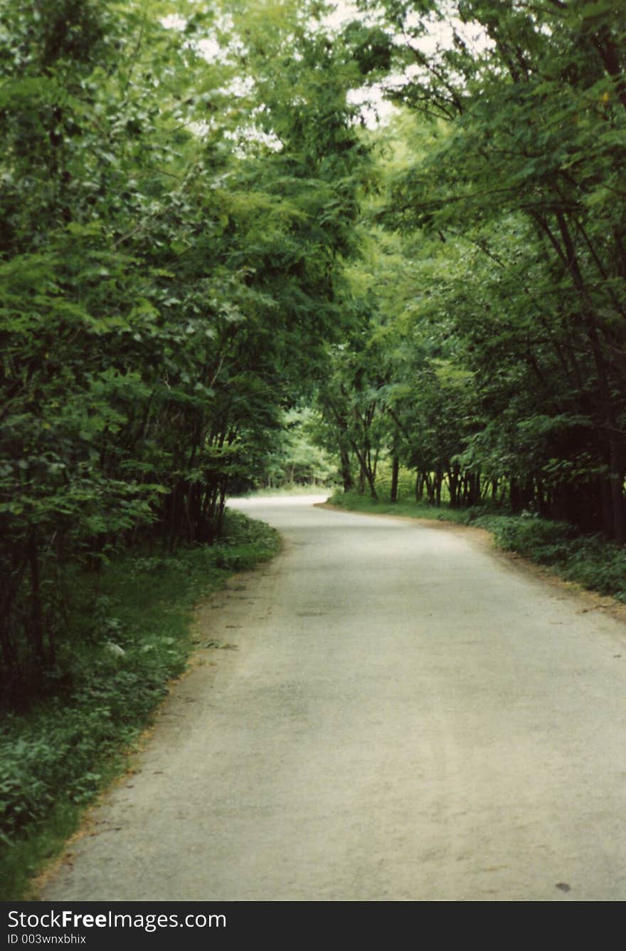 Italia - Strada di campagna