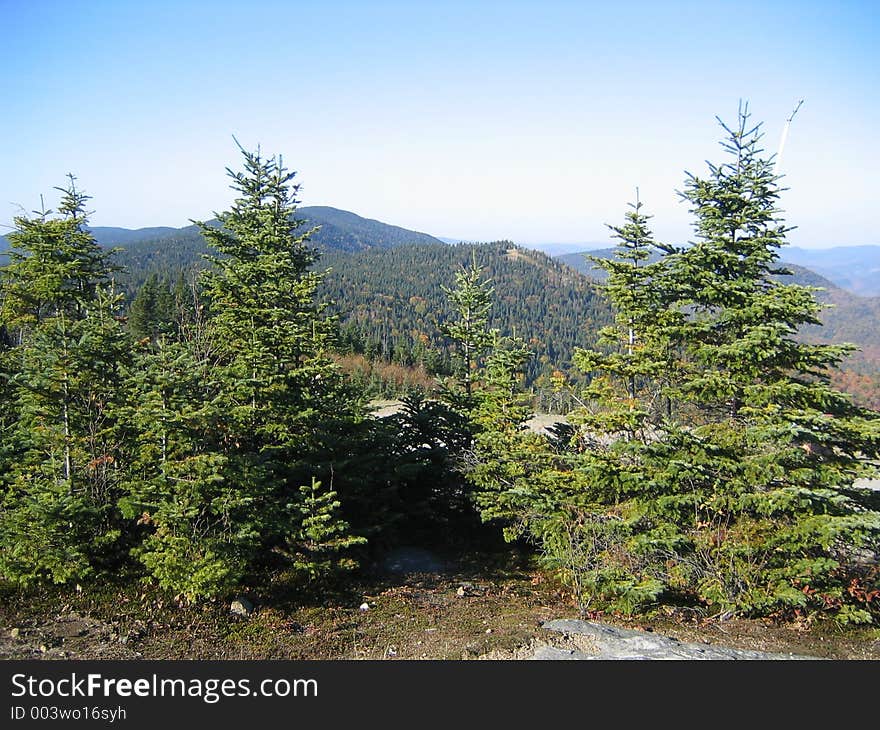 View at green mountains. View at green mountains