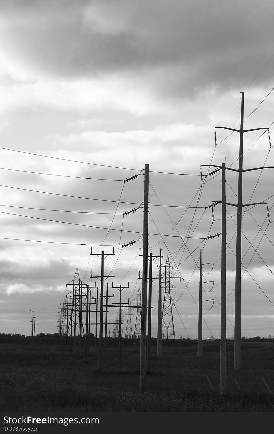 A group of powerlines. A group of powerlines