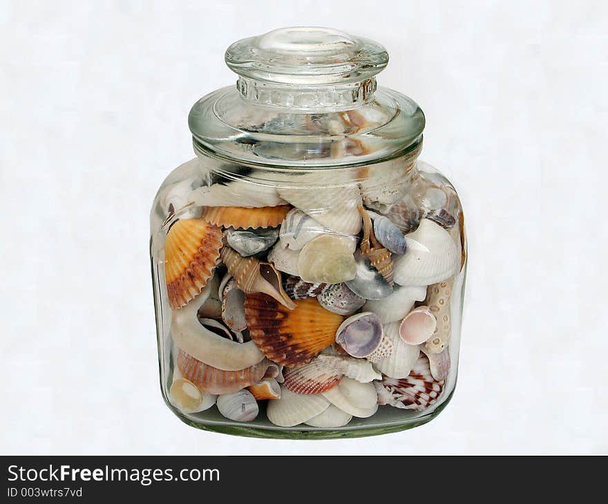 A decorative jar containing seashells. A decorative jar containing seashells