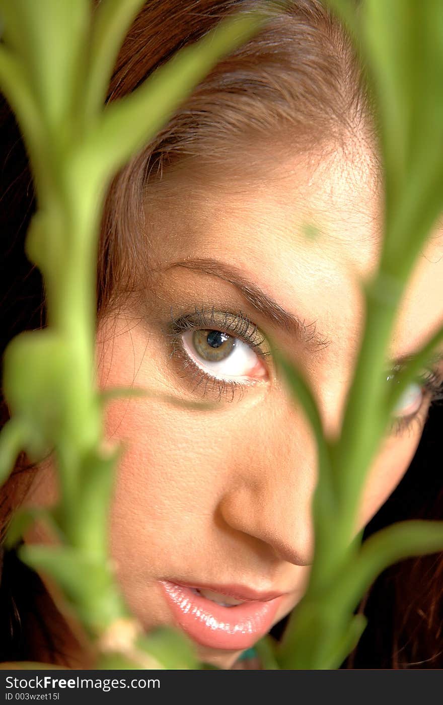 Peeking through bamboo