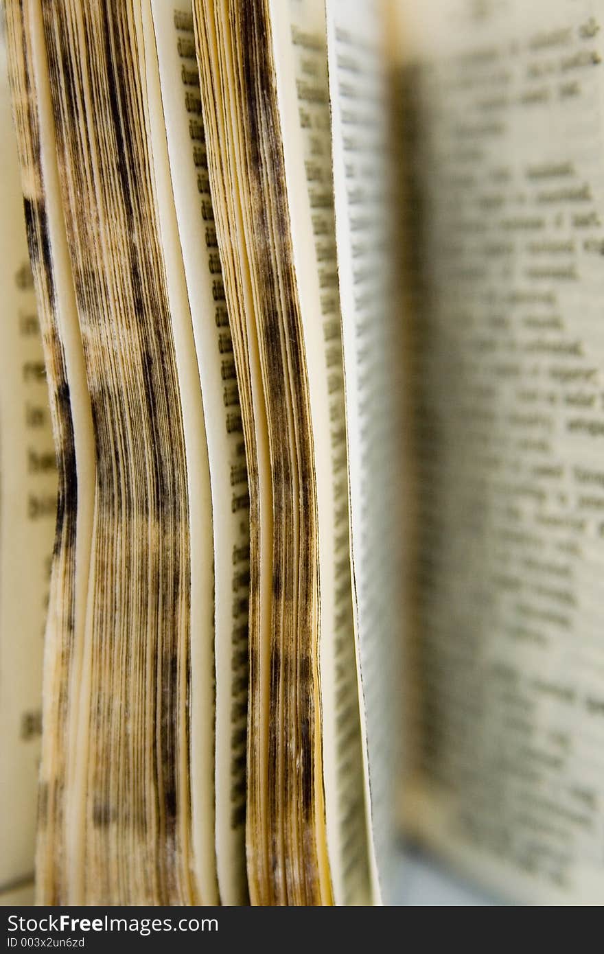 Old Dictionary, pages with words, shot DOF shot in RAW with 4x Closeup Filter, this thing is only like 2 tall, used to be my mum's and it later had a distressing time while I burned it with a magnifying glass as a kid :D. Old Dictionary, pages with words, shot DOF shot in RAW with 4x Closeup Filter, this thing is only like 2 tall, used to be my mum's and it later had a distressing time while I burned it with a magnifying glass as a kid :D