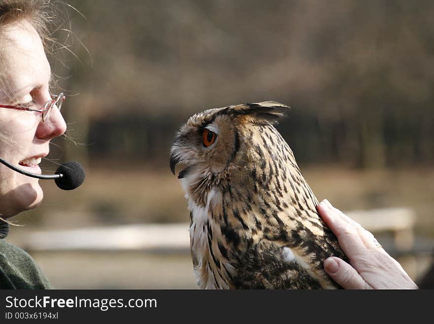 Eagle owl