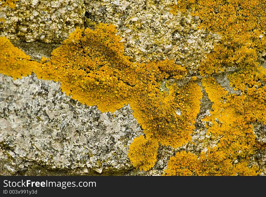 Textures and patterns found on boats and waterfront rock walls make for interesting backgrounds. Textures and patterns found on boats and waterfront rock walls make for interesting backgrounds.