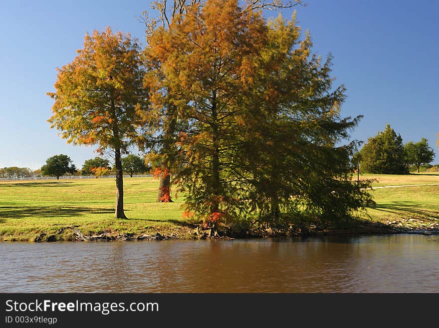 A beautiful park in the early fall. A beautiful park in the early fall