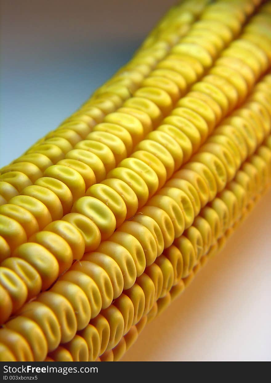 Yellow corn in macro. Yellow corn in macro