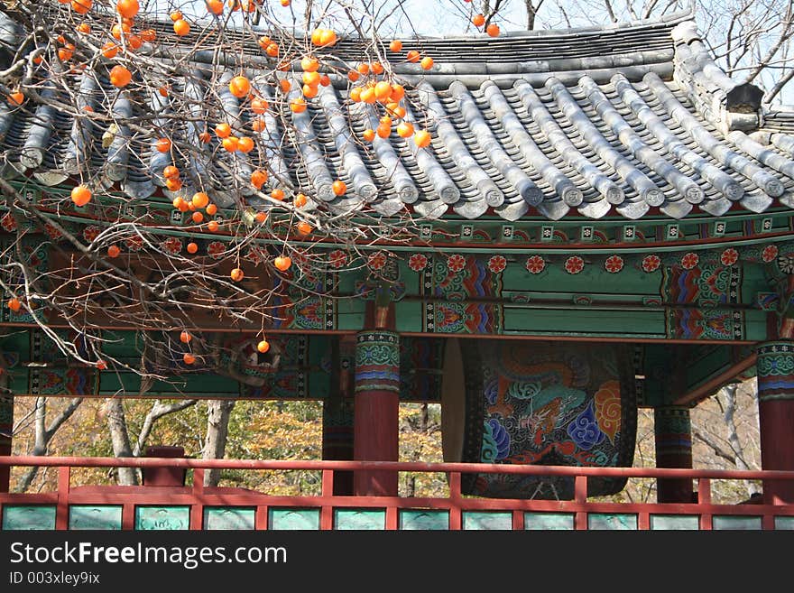 A korean bell tower and orange tree in Pohang South Korea.