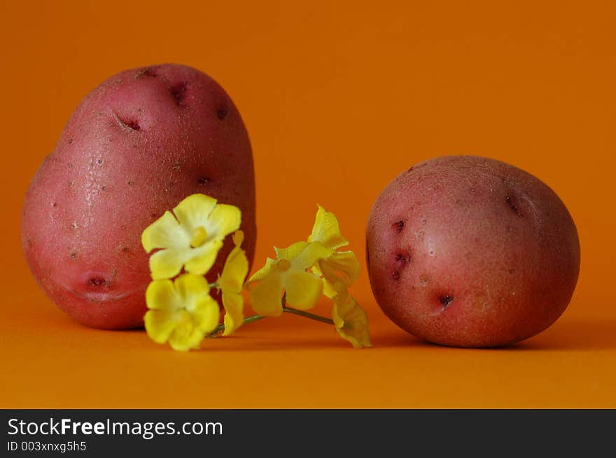 Guy and girl potato on first date. Guy and girl potato on first date.