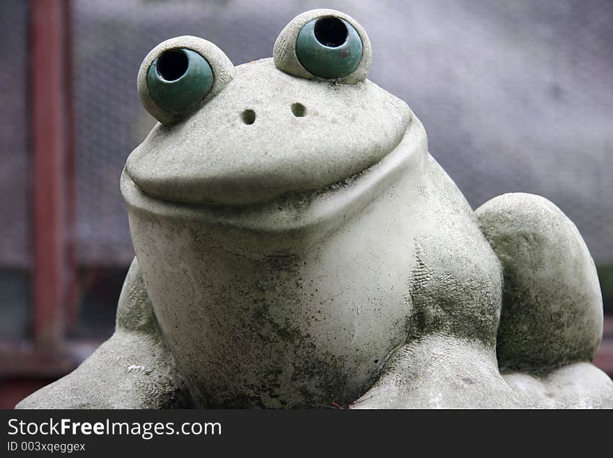 Smiling green frog. Smiling green frog