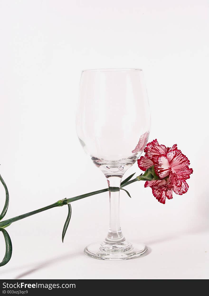 High resolution digital photo of an empty wine glass with a carnation. High resolution digital photo of an empty wine glass with a carnation