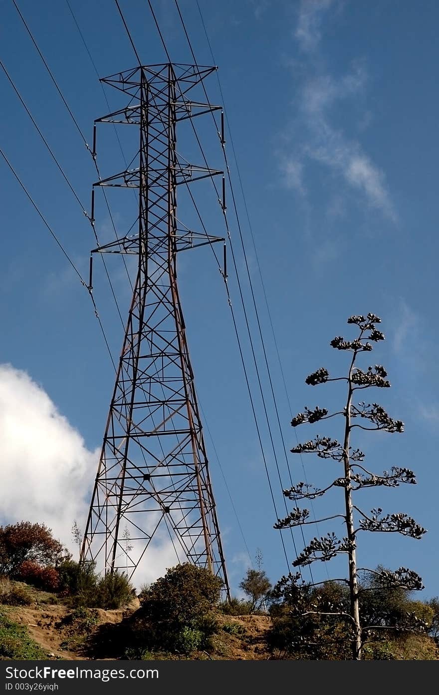 A power source and tree of similar shape on top of a hill. A power source and tree of similar shape on top of a hill