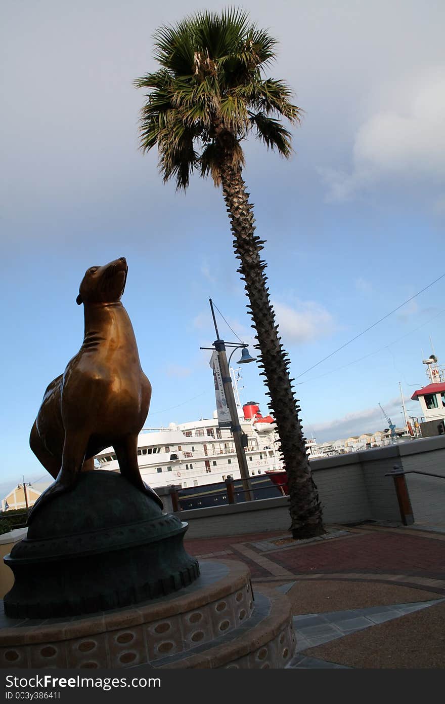 Golden seal outside Capen Town waterfront