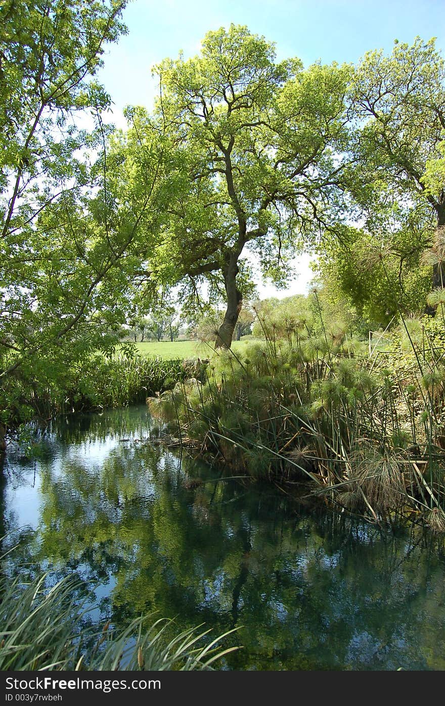 A Foreshortening Of Ciane River