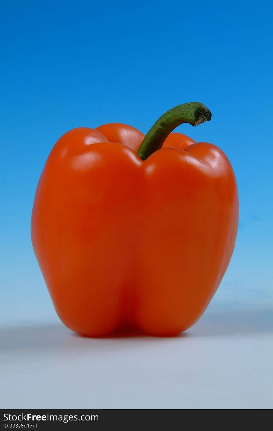 Studio image of a red pepper on a graduated blue background