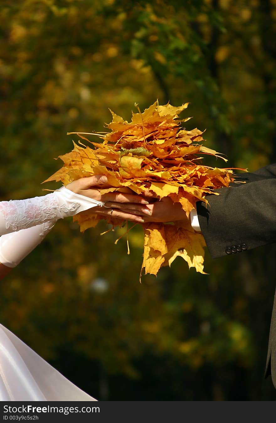 The bride with yellow leaves. The bride with yellow leaves