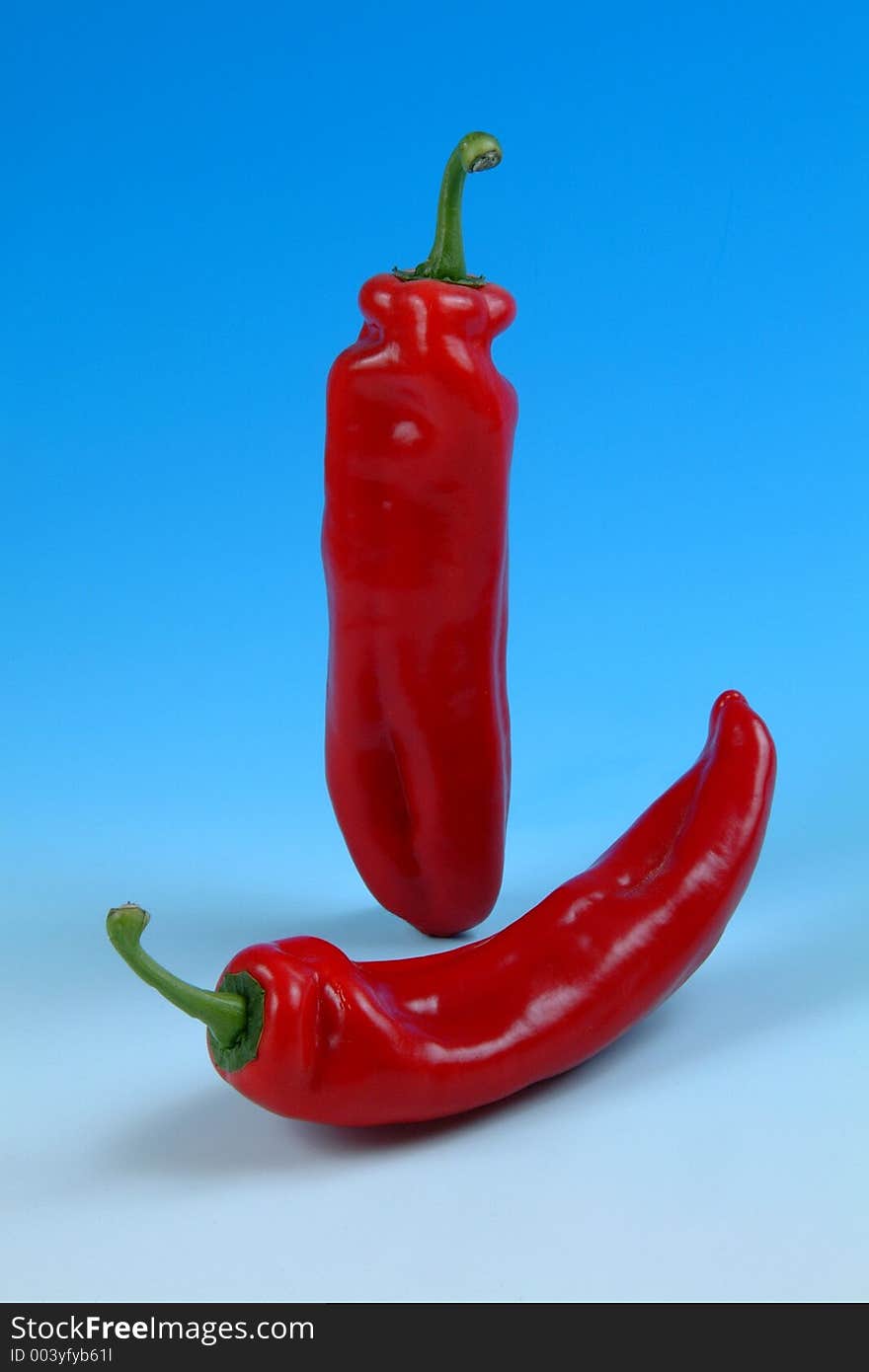 Studio image of two red peppers' taken on a graduated blue background. Studio image of two red peppers' taken on a graduated blue background