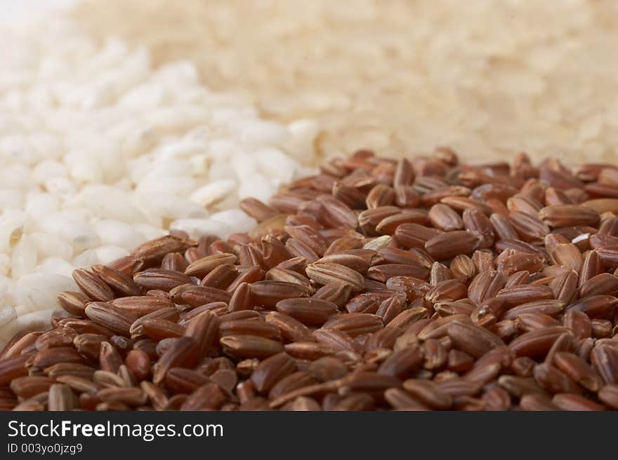 Close-up of rice (macro, three colors)