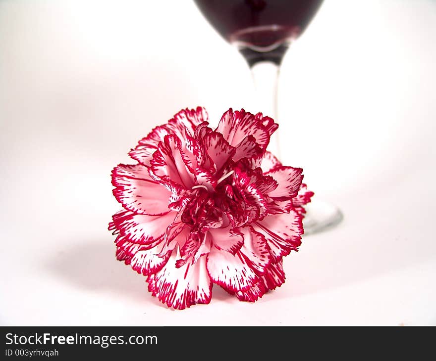 High resolution digital photo of a carnation, with red wine in a glass blurred as background … a romantic setting. High resolution digital photo of a carnation, with red wine in a glass blurred as background … a romantic setting