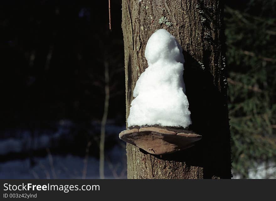 A little snowman in a forest