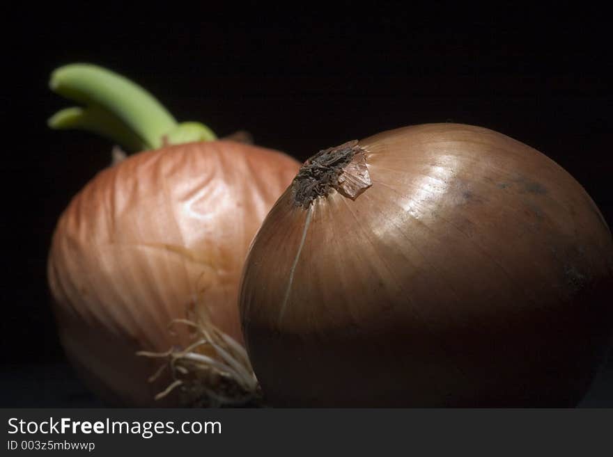 Onions on the black background. Onions on the black background