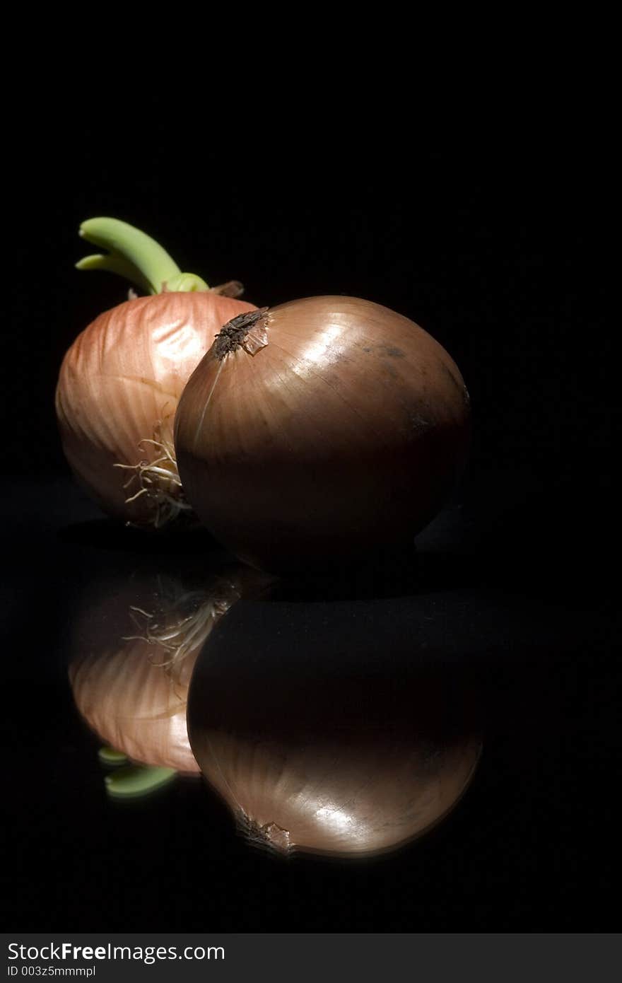 Shoot of two onions with reflex