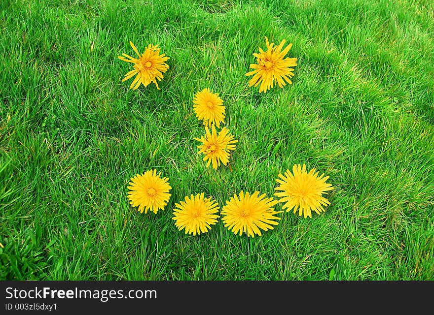 Smiley face sign - yellow flowers on green grass background. Smiley face sign - yellow flowers on green grass background.