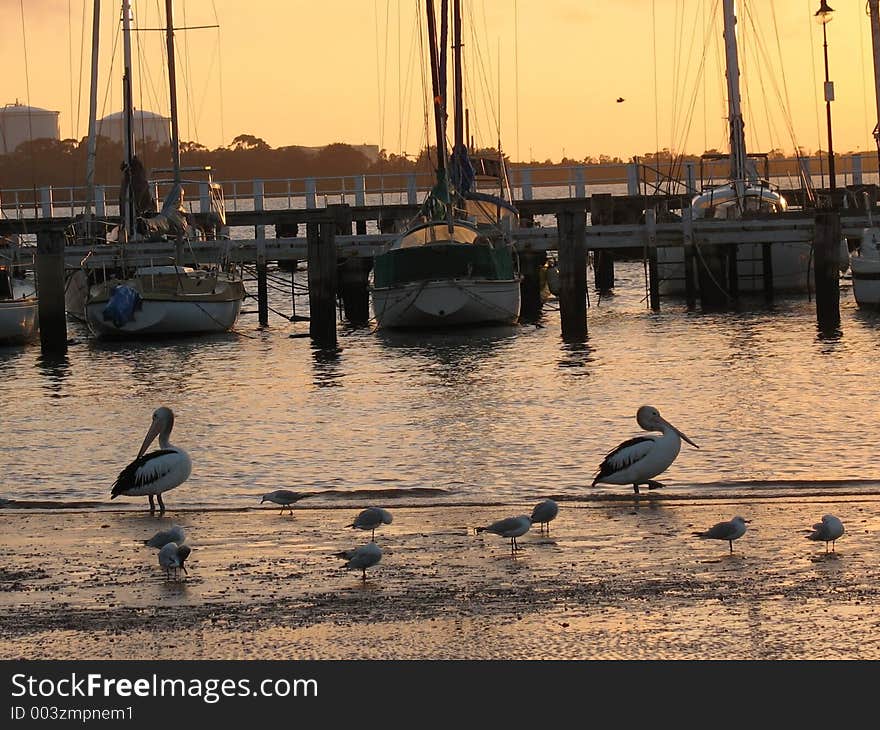 A dawn shot at Pelican Point, Victoria. A dawn shot at Pelican Point, Victoria