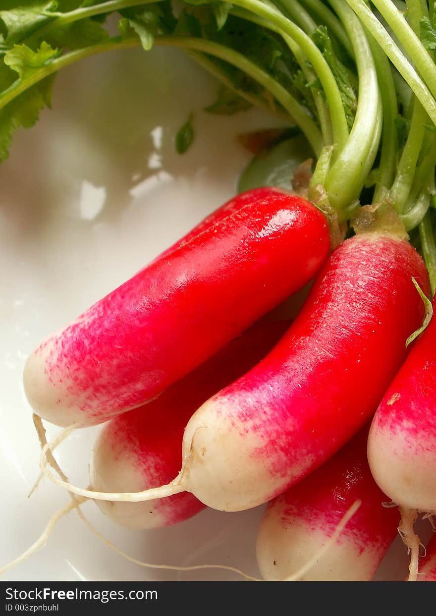 Radish