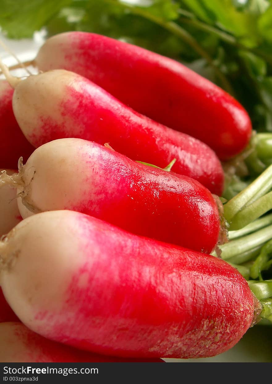 Radish